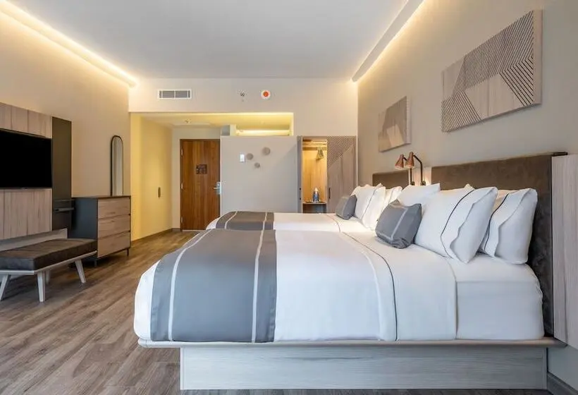 ２ダブルベッドのスタンダードルーム, City Express Plus By Marriott Monterrey Centro