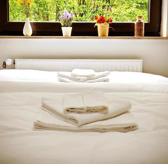 스탠다드 룸, Jakz