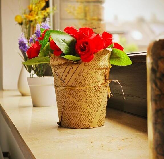 이코노미 싱글 룸, Jakz