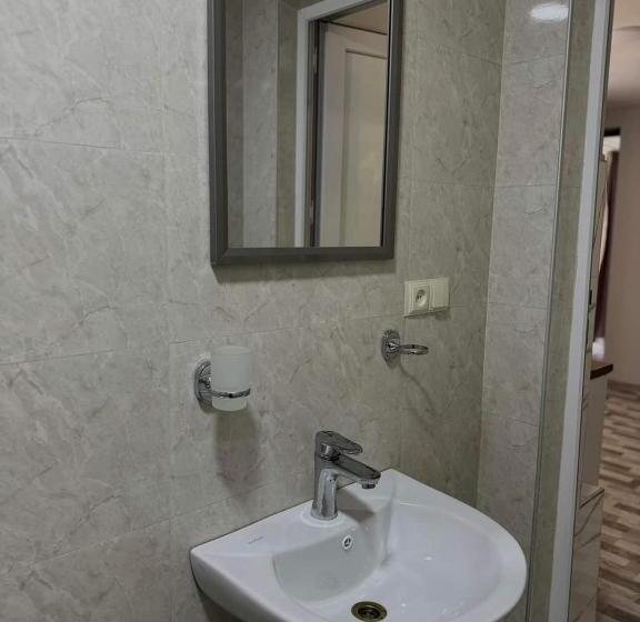 اتاق استاندارد, Family Hotel 464