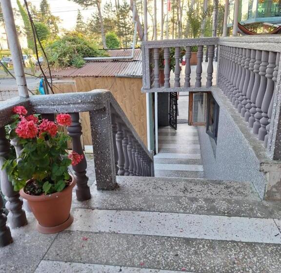 اتاق خانوادگی با چشم‌انداز دریا, Family Hotel 464