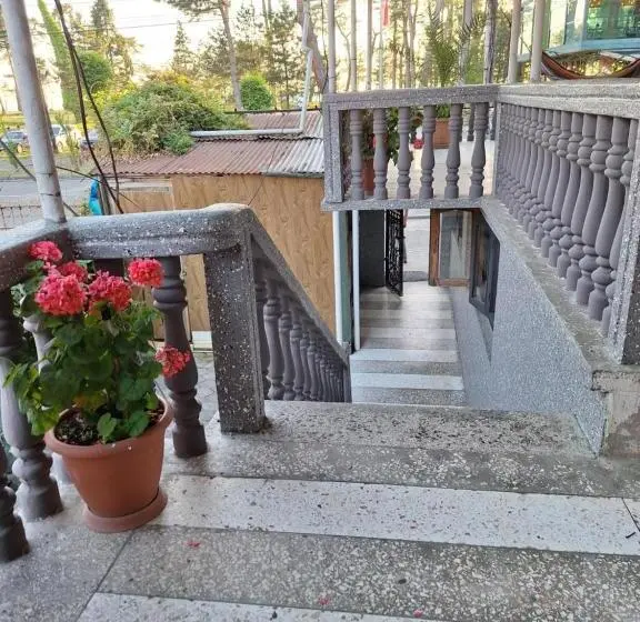 اتاق خانوادگی با چشمانداز دریا, Family Hotel 464