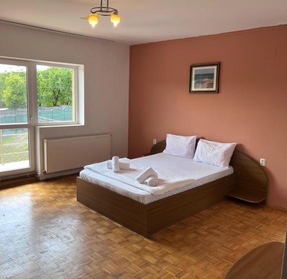 带大床的标准间, Alexandra Vile