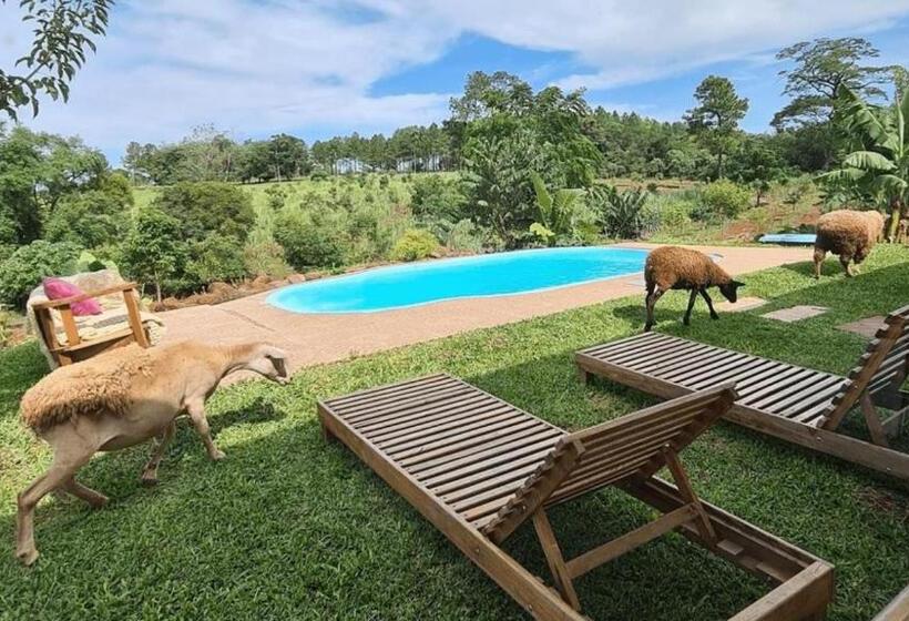 Бунгало Стандарт, El Silencio: Tu Oasis De Paz En Cerro Azul, Misiones