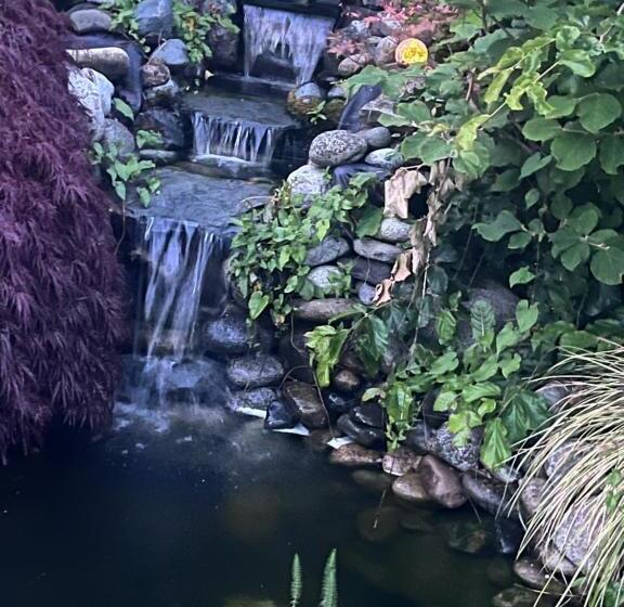 Полулюкс Вид на Сад, Oasis Guesthouse