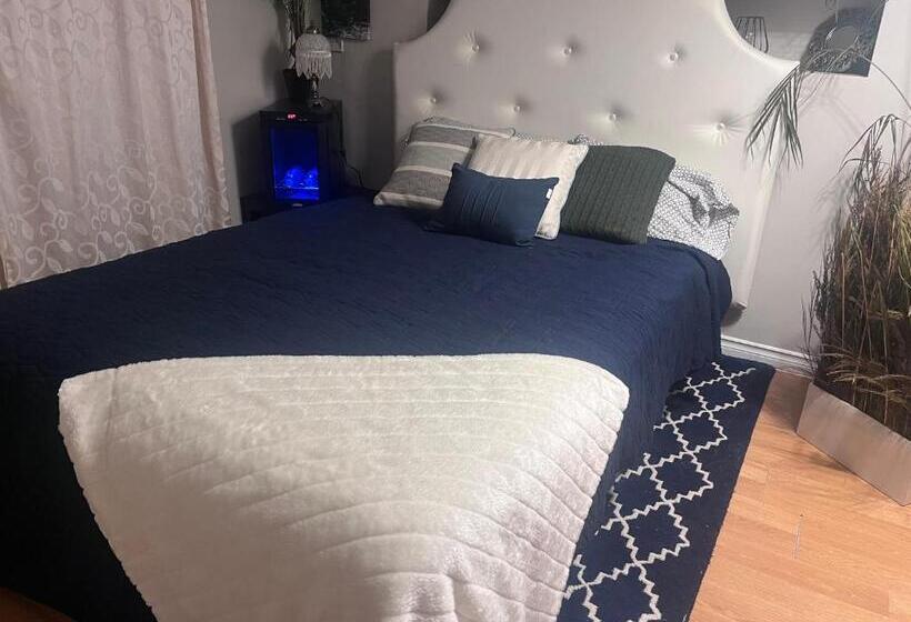 带园景的小型套房, Oasis Guesthouse