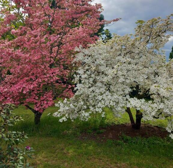 ガーデンビュースタンダードルーム, Maison De La Source