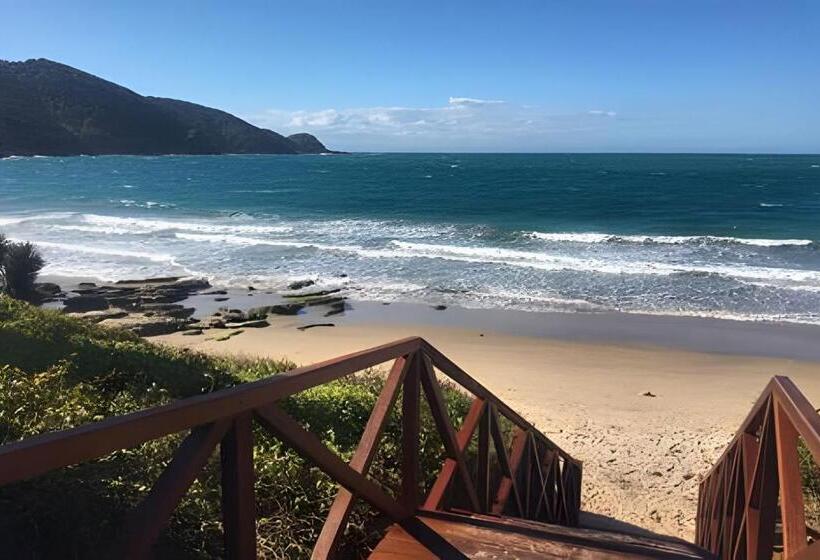 주니어 스위트, Carvalho S B&b