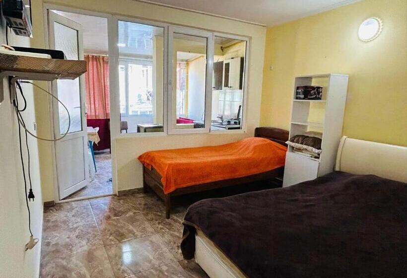 استودیوی استاندارد با چشم‌انداز دریا, Cozy Flat N2