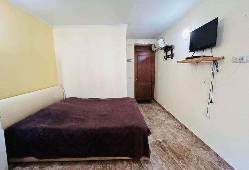 استودیوی استاندارد با چشمانداز دریا, Cozy Flat N2