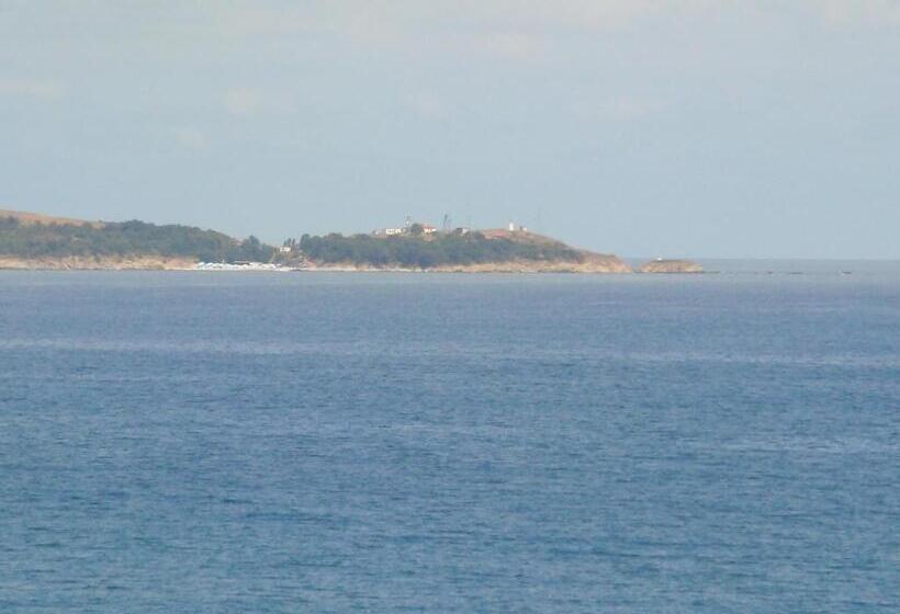 ベーシックルーム, тропикана