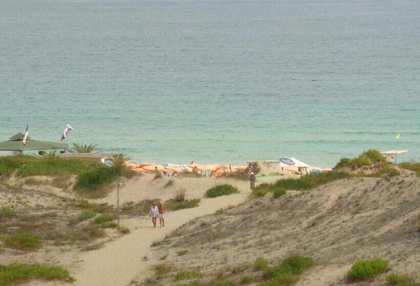 オーシャンビュースタンダードルーム, тропикана