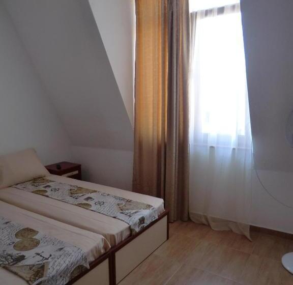 带城市景观的标准间, Guest House Petrovi