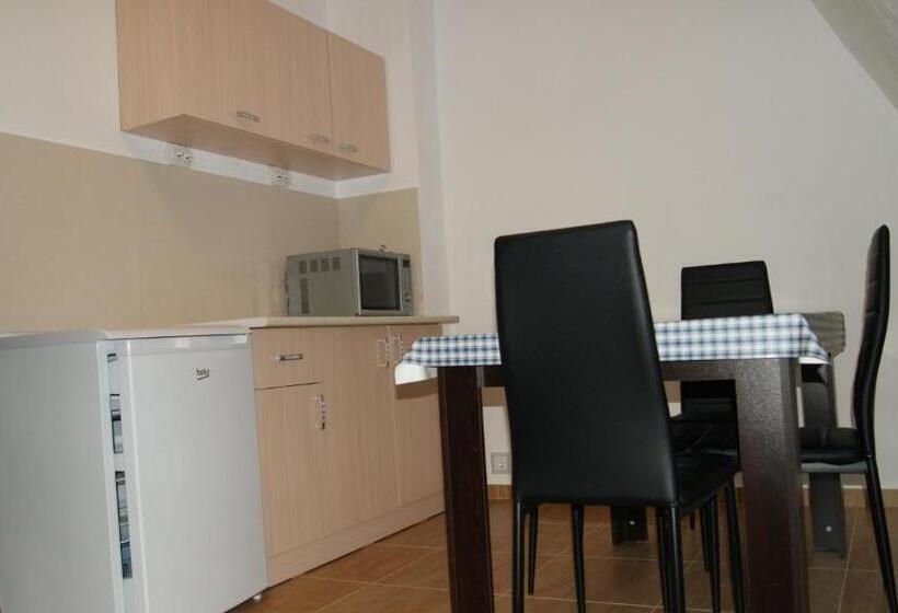 标准工作室, Guest House Petrovi