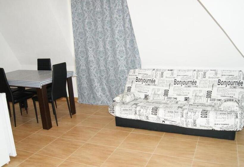 استودیوی استاندارد, Guest House Petrovi