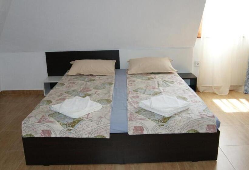 标准工作室, Guest House Petrovi