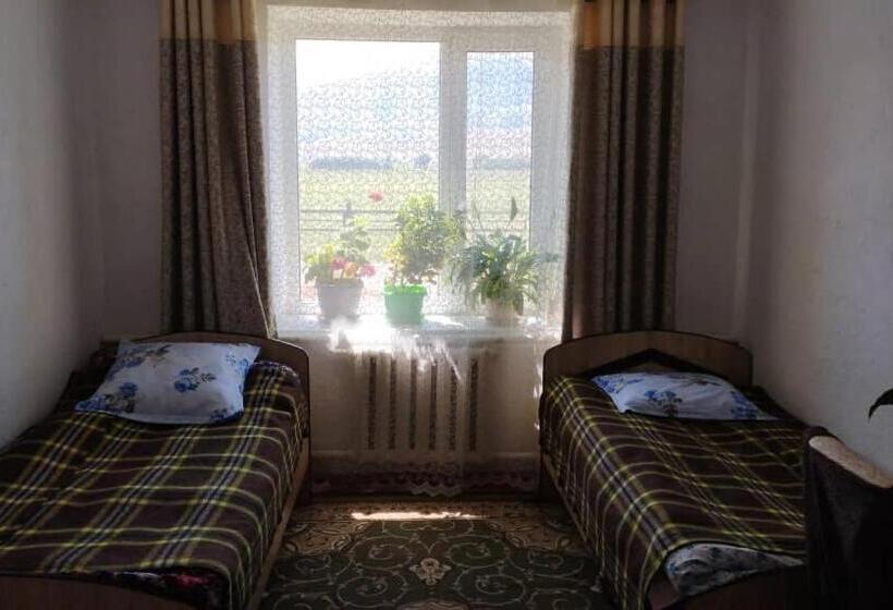 اتاق استاندارد با چشم‌انداز, Gulnara Guesthouse