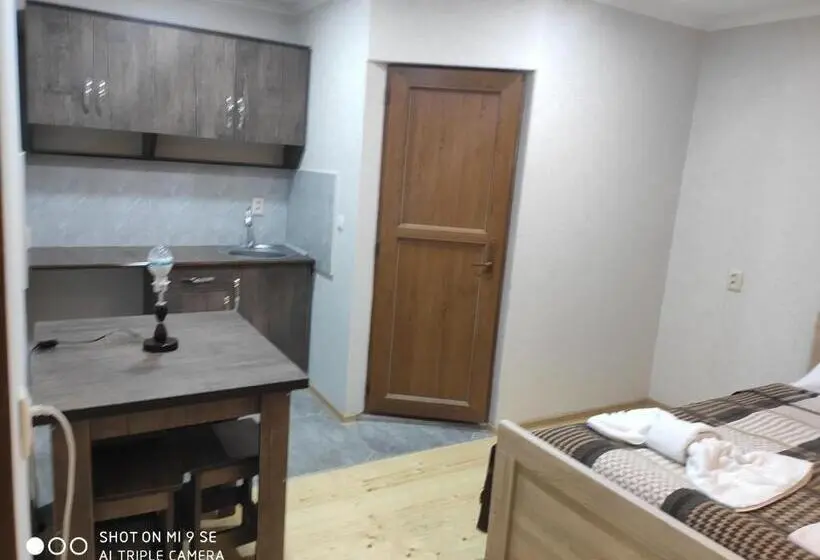 آپارتمان 1 خوابه با چشم‌انداز, Mziuri Guest House