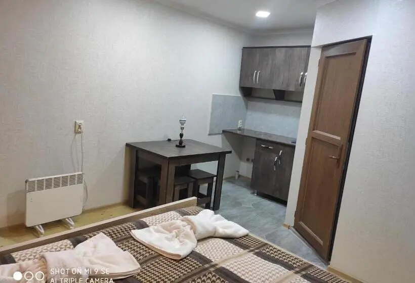 آپارتمان 1 خوابه با چشم‌انداز, Mziuri Guest House