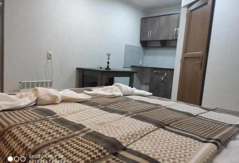 آپارتمان 1 خوابه با چشم‌انداز, Mziuri Guest House