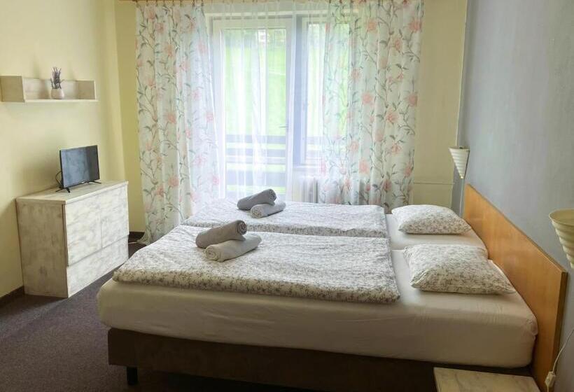 스탠다드 룸, Star Hotels Benecko