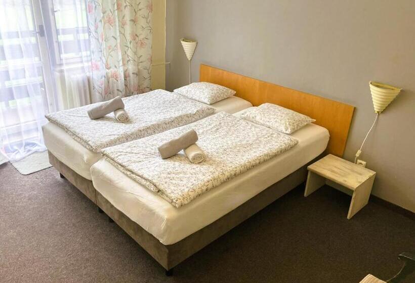 Номер Стандарт, Star Hotels Benecko