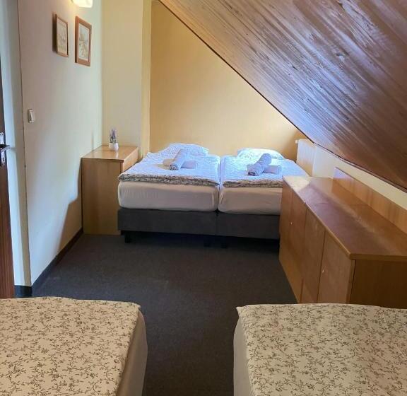 패밀리 룸, Star Hotels Benecko