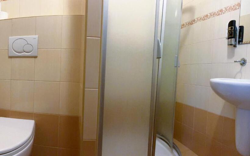 스탠다드 트리플 룸, Star Hotels Benecko