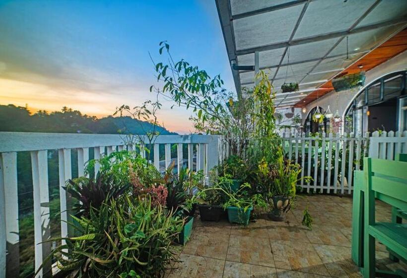 הכלכלה חדר לארבעה עם מקלחת משותפת, King Ray By Tbs