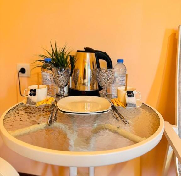 スタンダードルーム, Garden Evn Airport