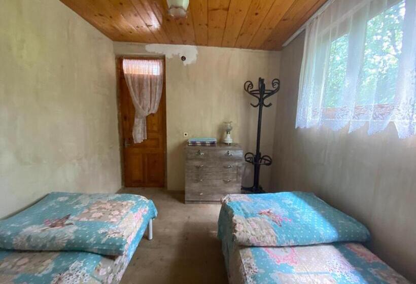 اتاق عادی, Guesthouse In Utsera