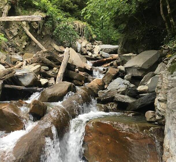 اتاق خانوادگی, Guesthouse In Utsera