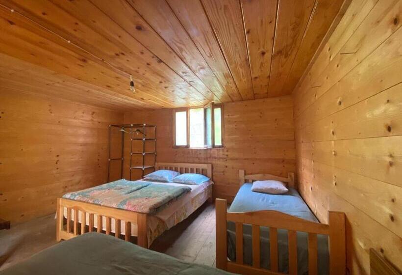 اتاق خانوادگی, Guesthouse In Utsera