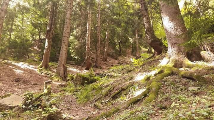 اتاق خانوادگی, Guesthouse In Utsera