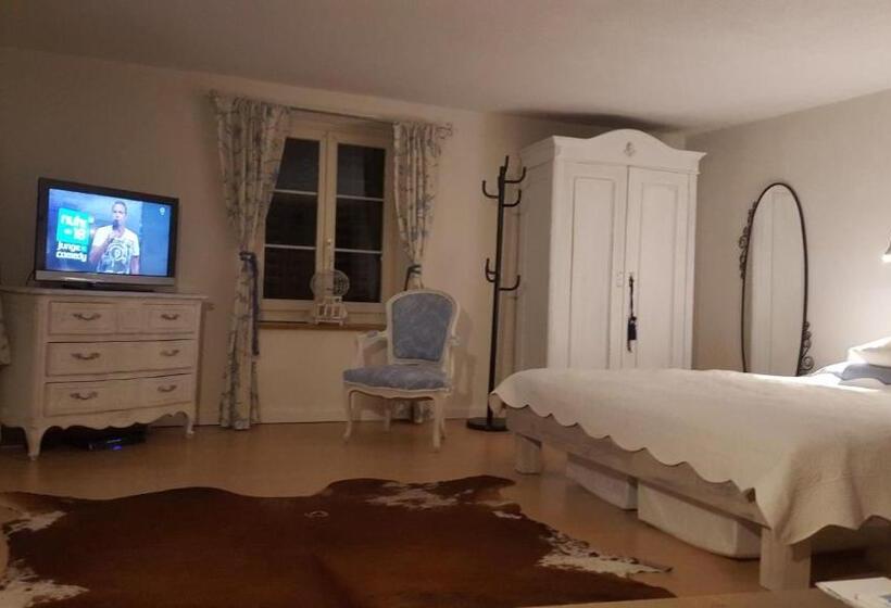 Deluxe Værelse, Airport Zürich Elwiras B & B