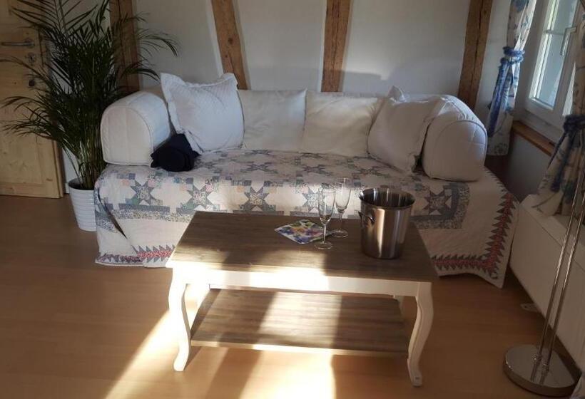 Номер Deluxe, Airport Zürich Elwiras B & B