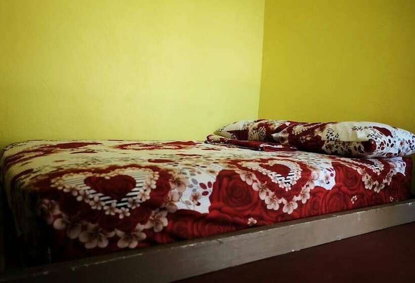 스탠다드 룸, Malapascua Budget Inn Mbi Dive Center