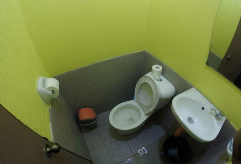 스탠다드 룸, Malapascua Budget Inn Mbi Dive Center