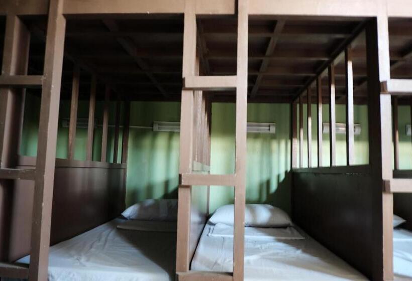 공동 객실, Malapascua Budget Inn Mbi Dive Center