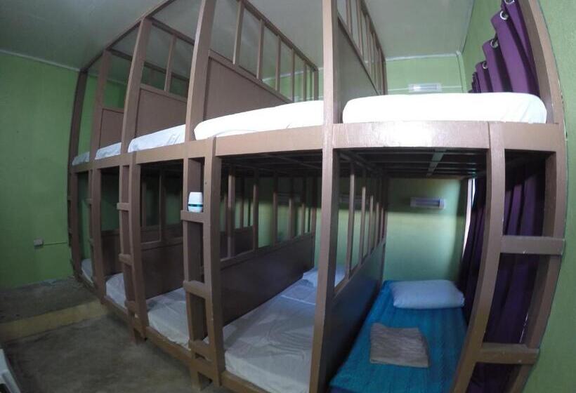 공동 객실, Malapascua Budget Inn Mbi Dive Center