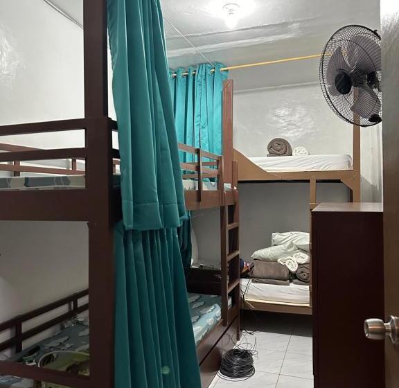 공동 객실, Malapascua Budget Inn Mbi Dive Center