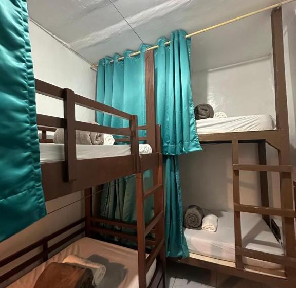 공동 객실, Malapascua Budget Inn Mbi Dive Center