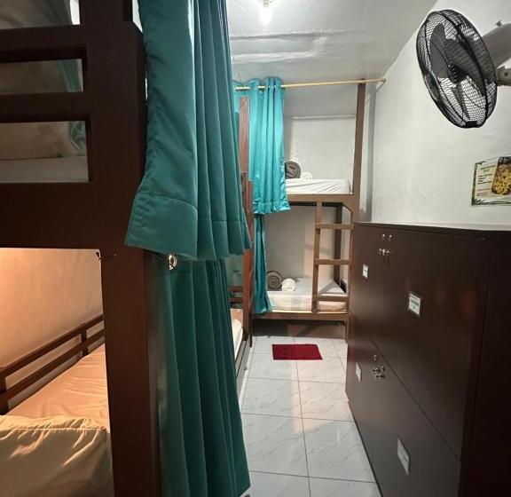 공동 객실, Malapascua Budget Inn Mbi Dive Center