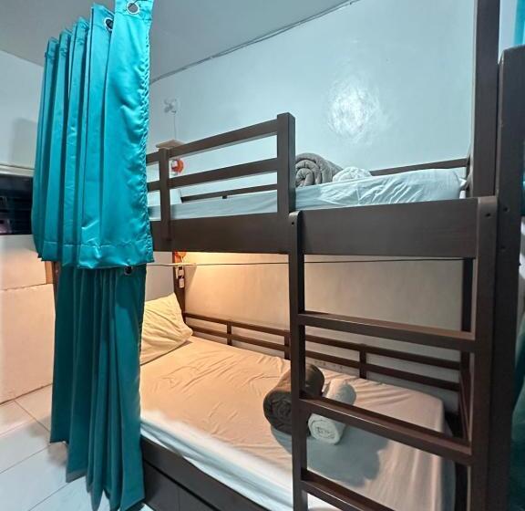 공동 객실, Malapascua Budget Inn Mbi Dive Center