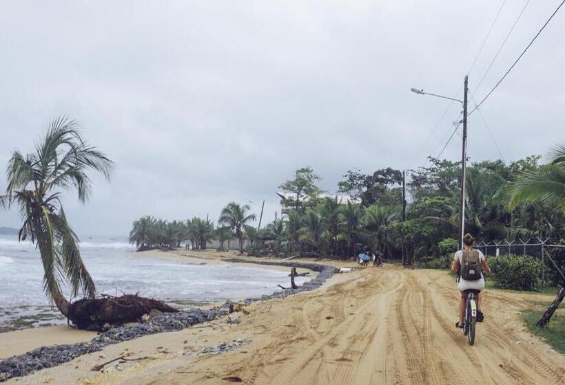 سرير فى غرفة مشتركه, Spanish By The Sea Bocas