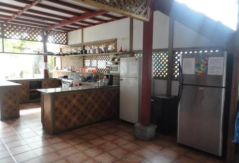 سرير فى غرفة مشتركه, Spanish By The Sea Bocas