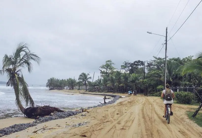 اتاق استاندارد چهار تخته, Spanish By The Sea   Bocas