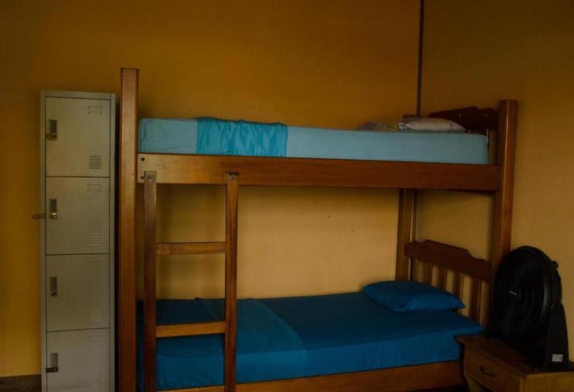 سرير فى غرفة مشتركه, Spanish By The Sea Bocas