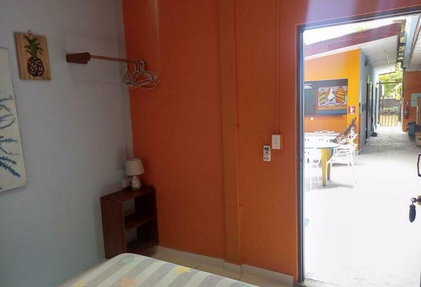 غرفة قياسية, Surfari Bocas