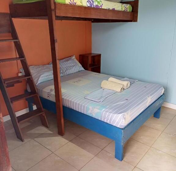 غرفة قياسية ثلاثية, Surfari Bocas